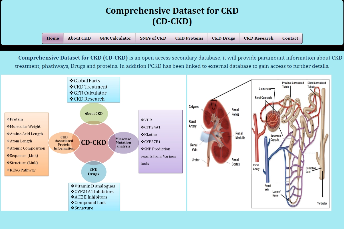 Database Image